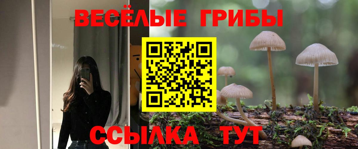 Псилоцибиновые грибы мицелий  Псилоцибиновые грибы Psilocybe  Вход с VPN  Сочи 